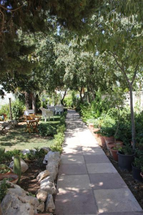 B&B Solacium